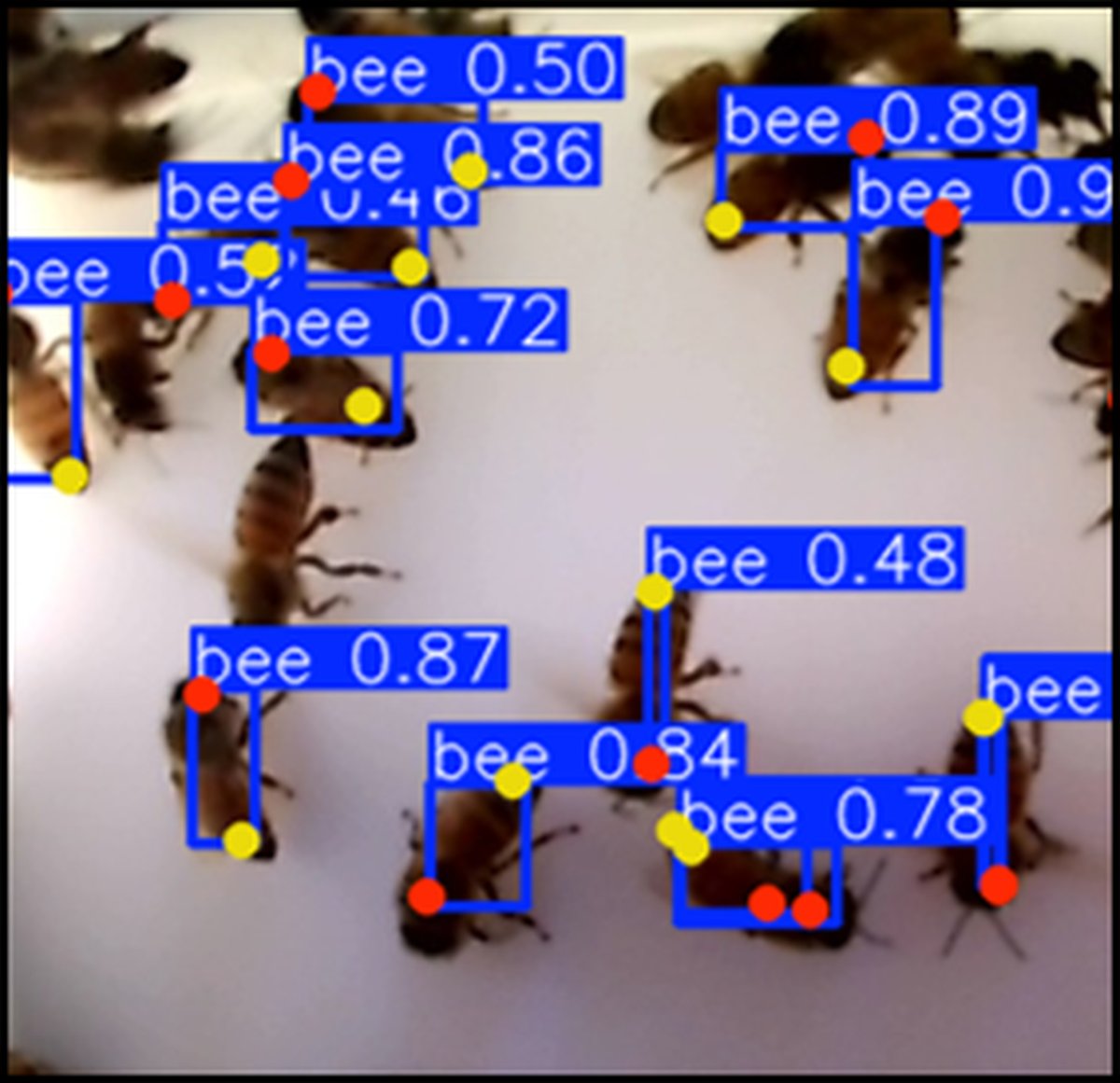 PollenPal computer vision detecting and tracking individual bees