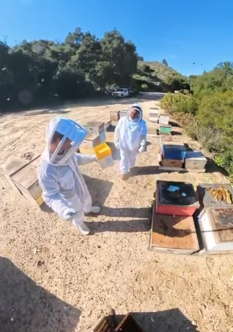 Robert and Danny working hives